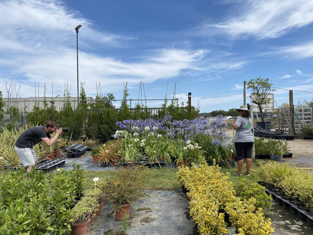 Augueró plantes_trabajo