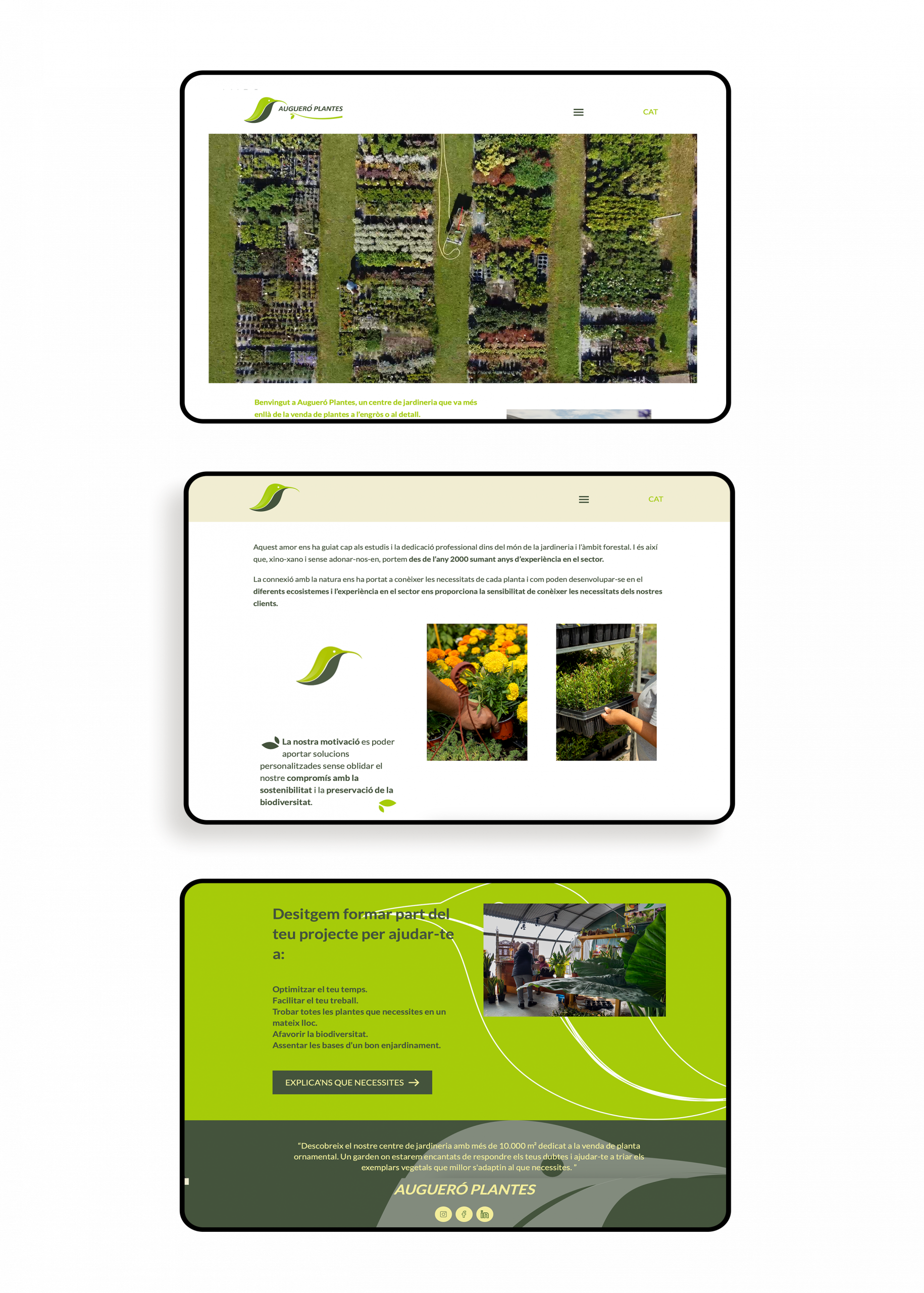 Augueró-plantes_-web-madre
