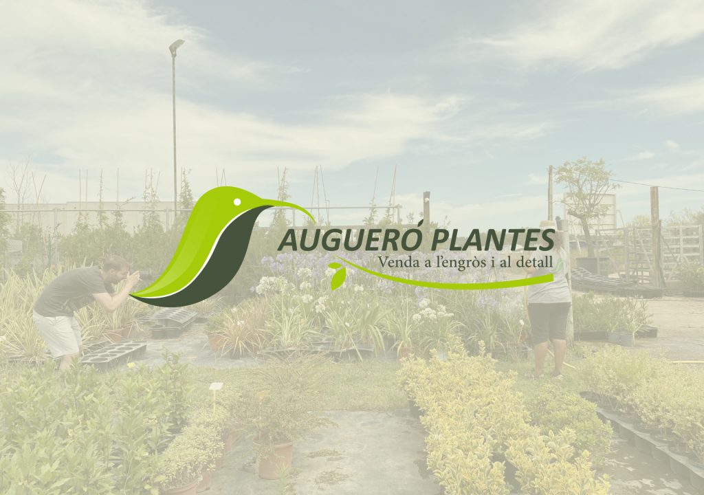Portada_AUGUERÓ PLANTES